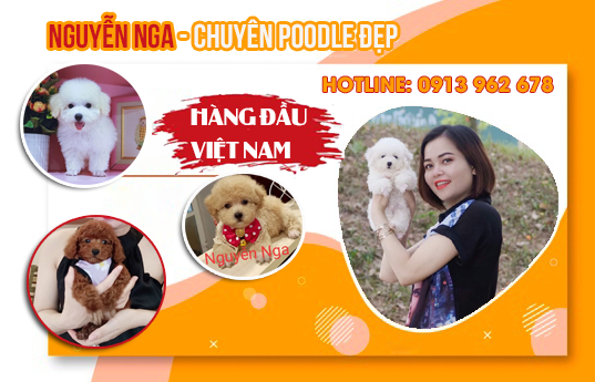 Chê Độ Bảo Hành