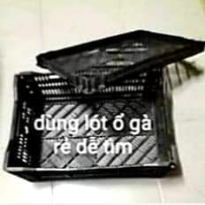 Làm ổ cho gà chọi bằng các dụng cụ giá rẻ như sọt nhựa