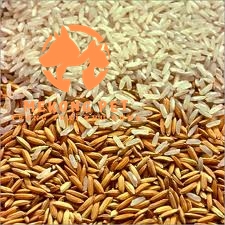 Lúa là thức ăn rẻ tiền, giàu chất xơ cung cấp cho chim công nhanh lớn