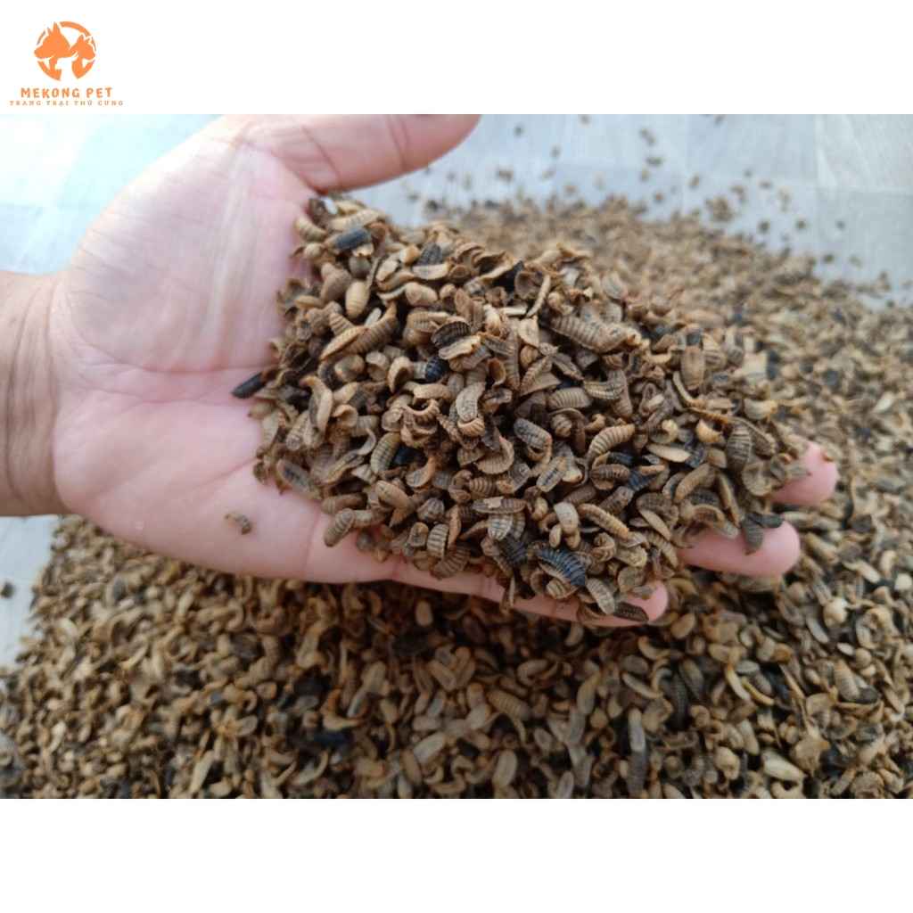 Mua Bán Sâu Canxi Sấy Khô: Giá Bán Sâu Canxi Sấy Khô, Nơi Bán Uy Tín Tphcm, Bình Dương, Đồng Nai, Vũng Tàu