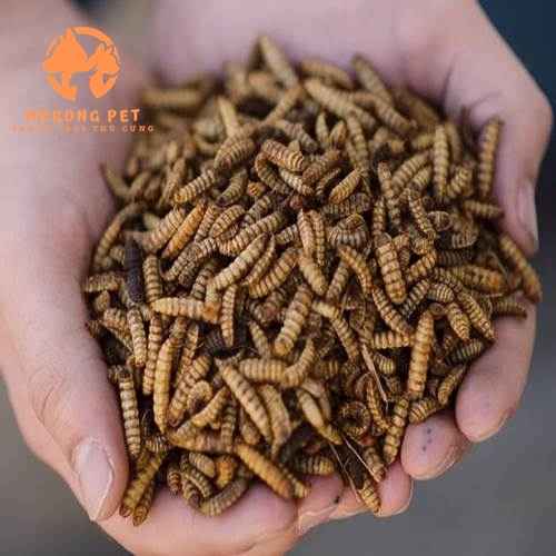 Sâu canxi sấy khô giá rẻ được dùng thay cám gà con truyền thống