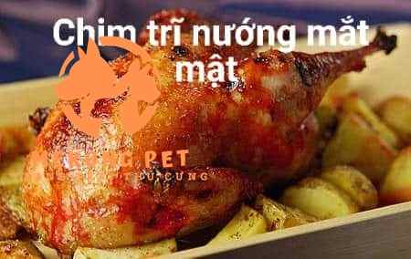 Chim trĩ xanh dùng để làm cảnh và khai thác thịt