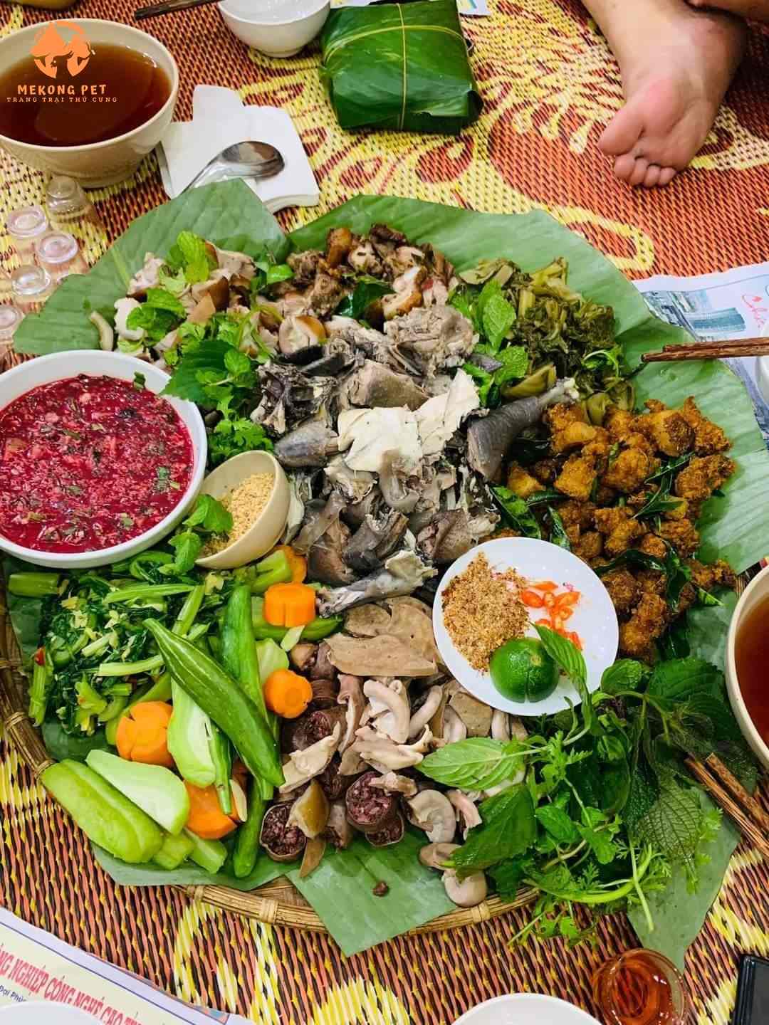 Gà H’Mông Nấu Món Gì Ngon? Hướng Dẫn Nấu Các Món Ăn Thơm Ngon, Bổ Dưỡng Với Gà H’Mông