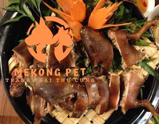 Bán Chồn Hương Thịt Tphcm​ Giá Rẻ