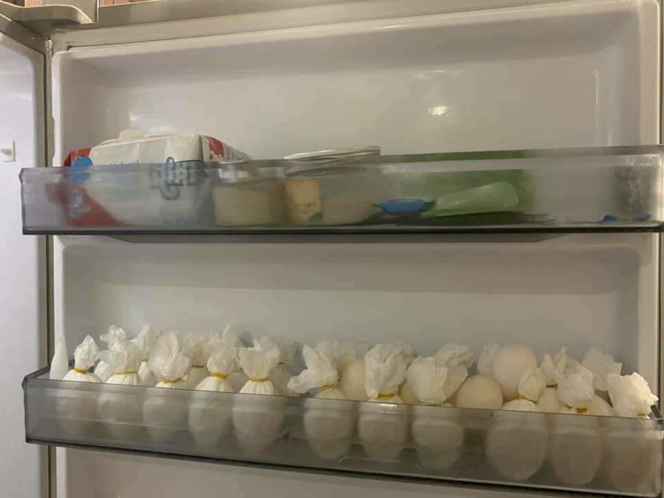 bảo quán trứng trong ngăn mát tủ lạnh
