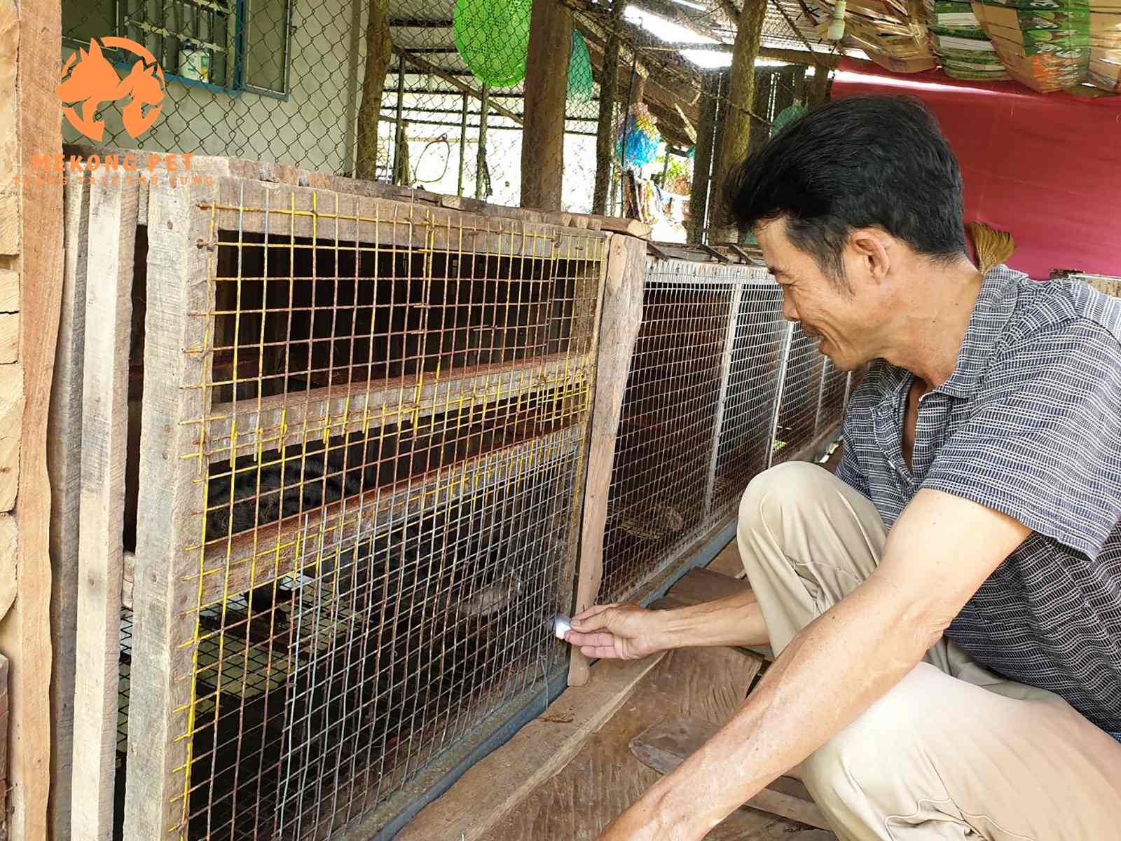 Tận dụng phế liệu để làm chuồng chồn hương cho tiết kiệm