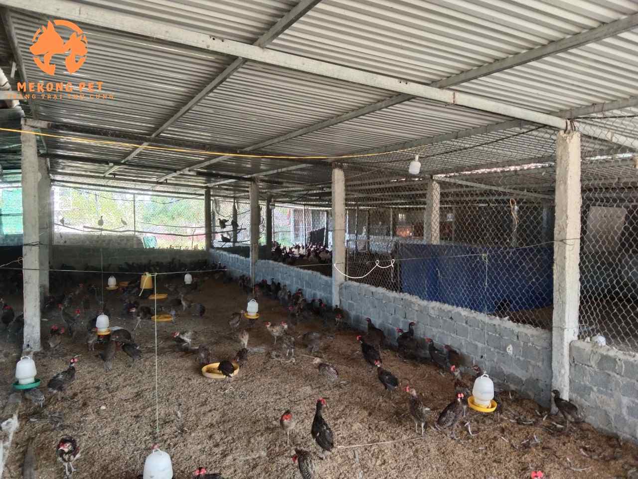 HÌNH ẢNH CÁC TRANG TRẠI MÀ CHÚNG TÔI TƯ VẤN SETUP